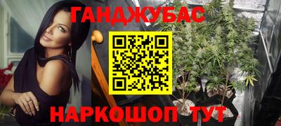 крисы Гусиноозёрск