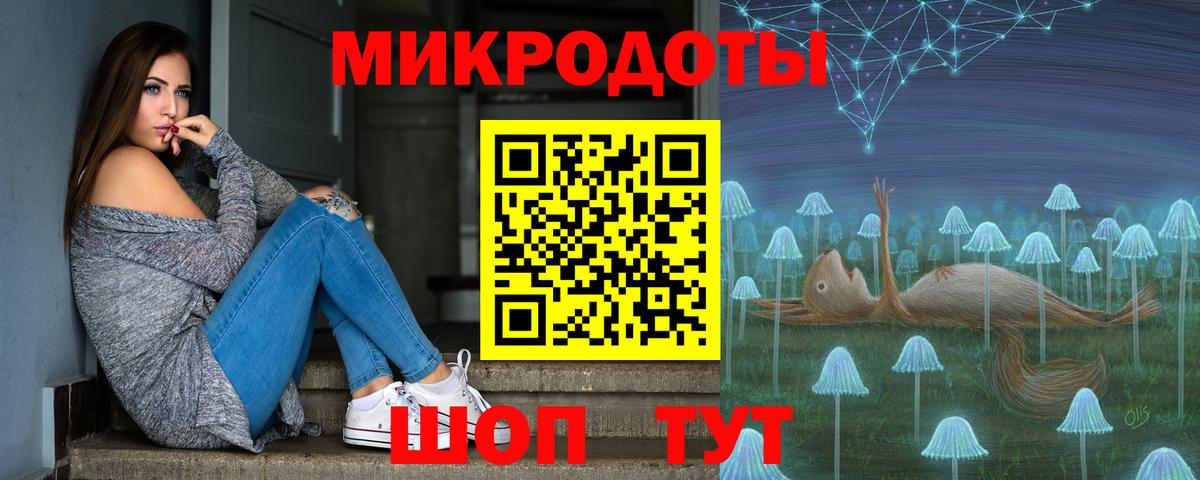 Псилоцибиновые грибы Psilocybe Жигулёвск