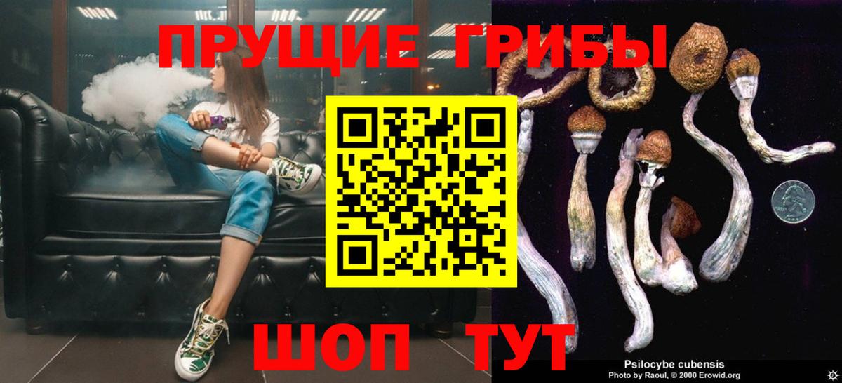 Псилоцибиновые грибы GOLDEN TEACHER  Жигулёвск  Псилоцибиновые грибы Cubensis 